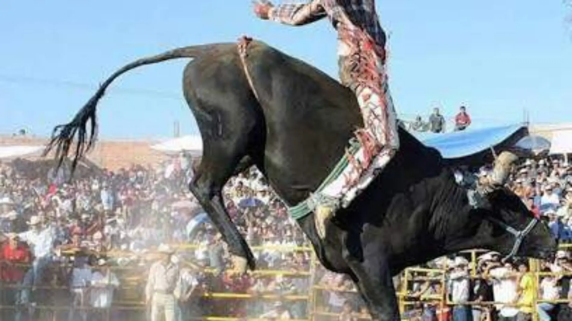 Jaripeo portada